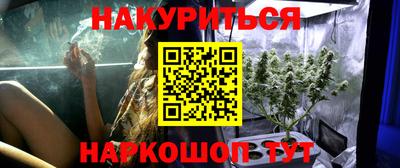 соль ск Бийск