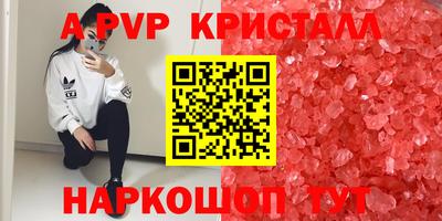 соль ск Бийск