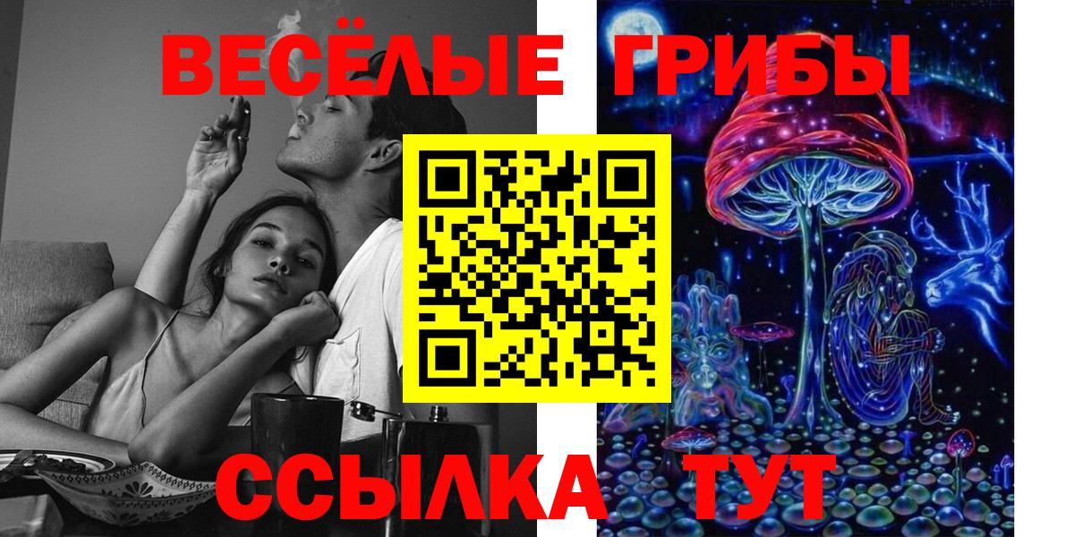 Галлюциногенные грибы MAGIC MUSHROOMS  Вход с VPN  Жуковский 