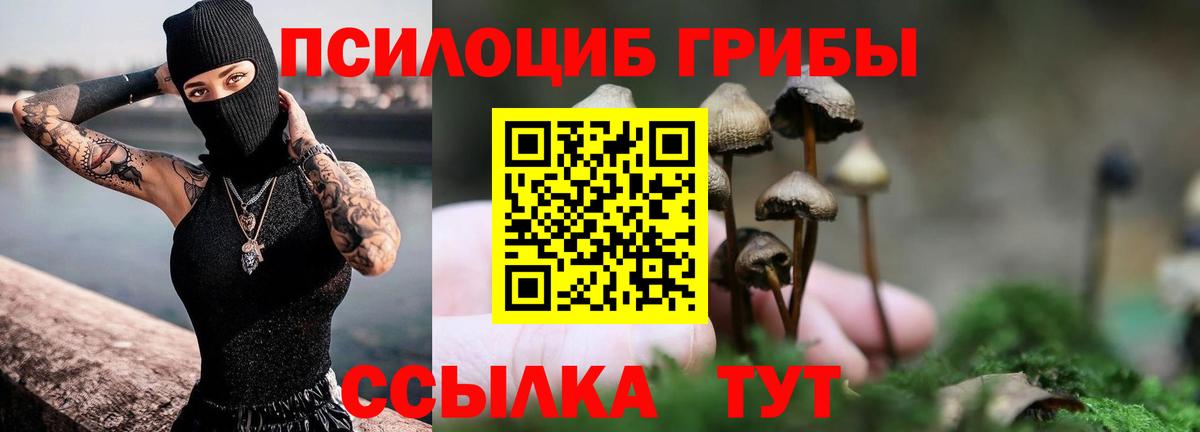 Галлюциногенные грибы MAGIC MUSHROOMS Жуковский